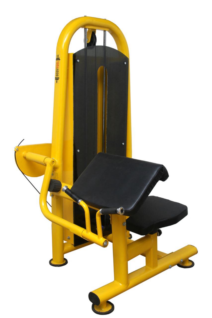 Preacher Curl