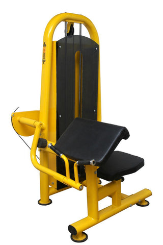 Preacher Curl