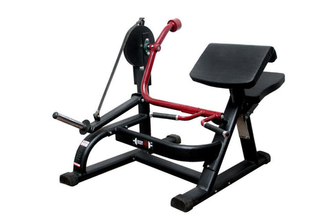 Arm Curl (Plate Loaded)