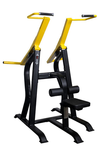 Lat Pulldown (Plate Loaded)